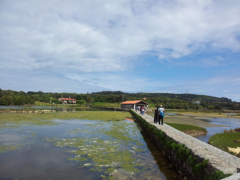 Marisma Joyel 011
