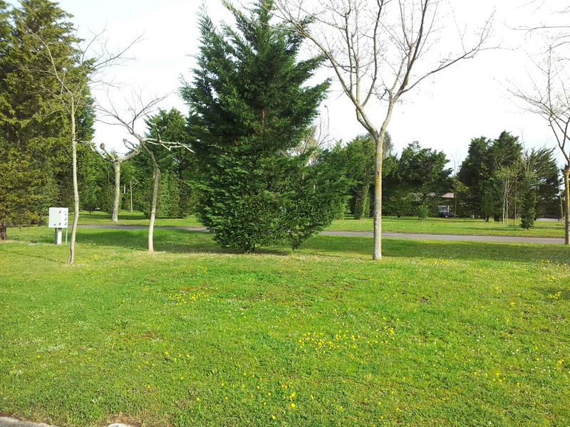 Parcela 004