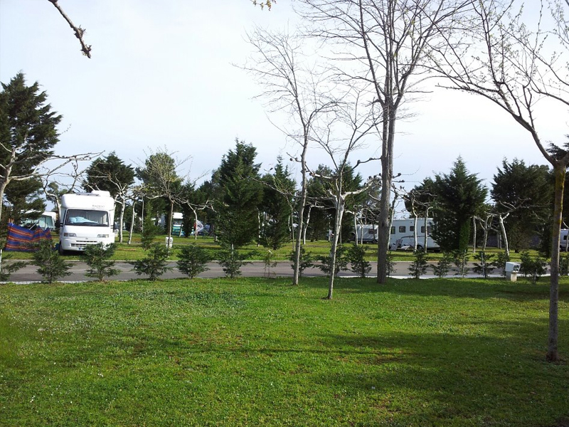 Parcela 005