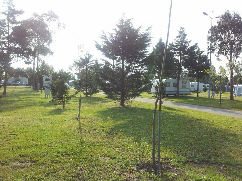 Parcela 008