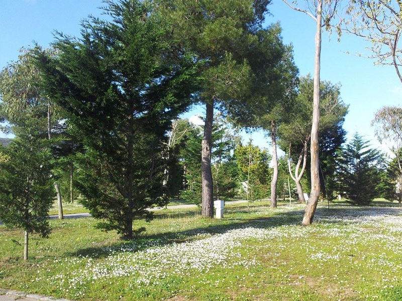 Parcela 009