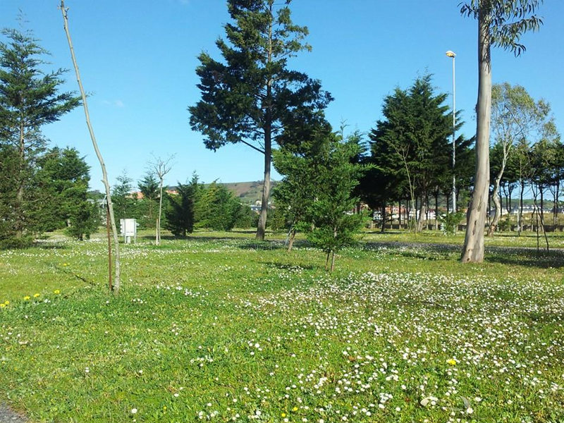 Parcela 010