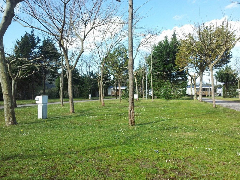 Parcela 011