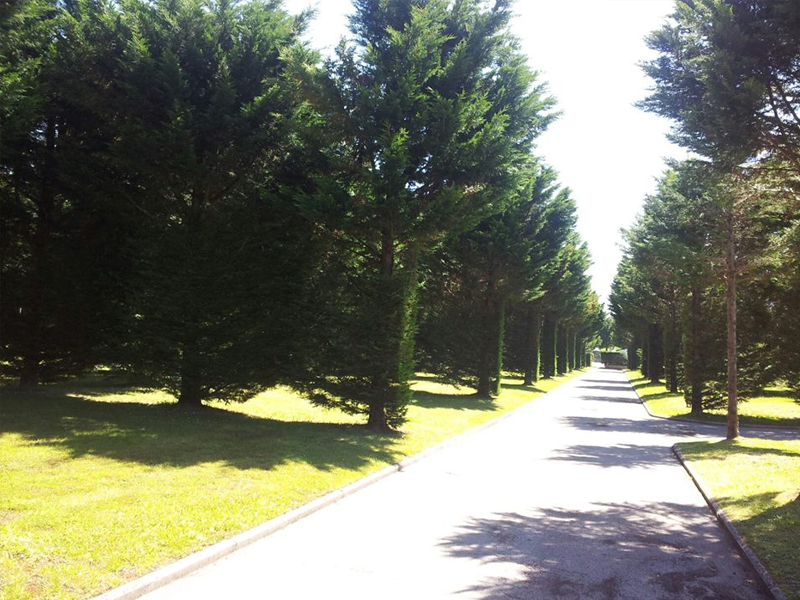 Parcela 015