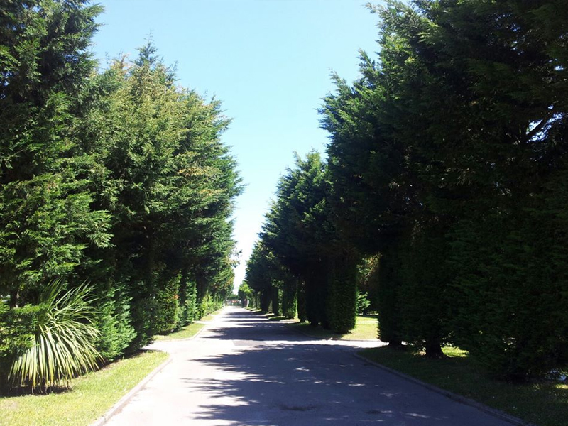 Parcela 016