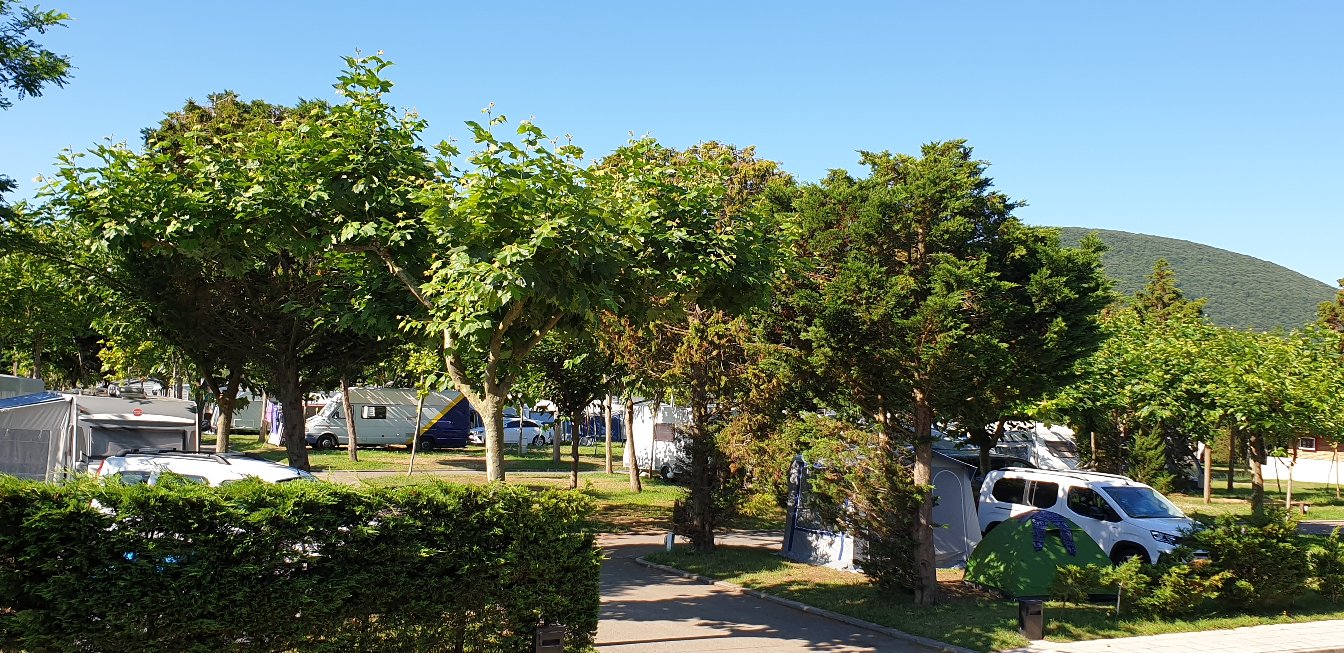 Parcela 023