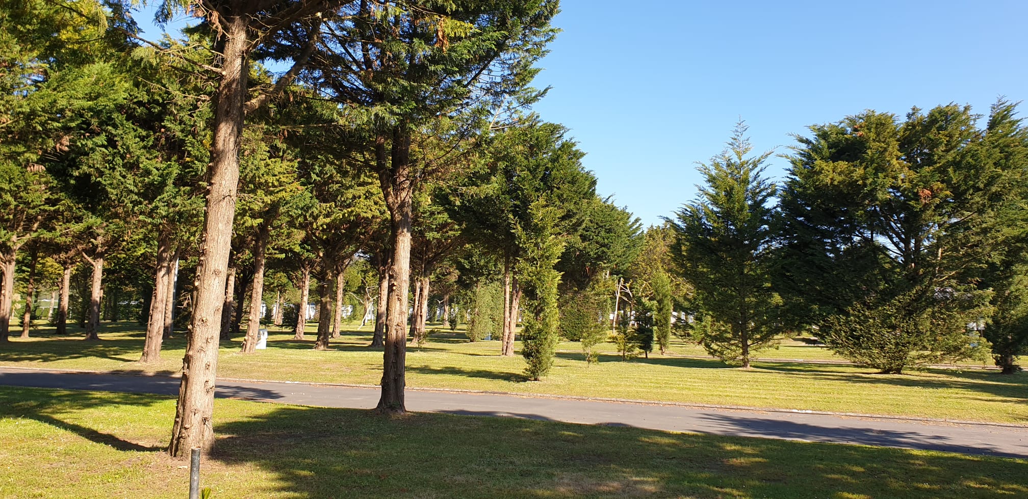 Parcela 025