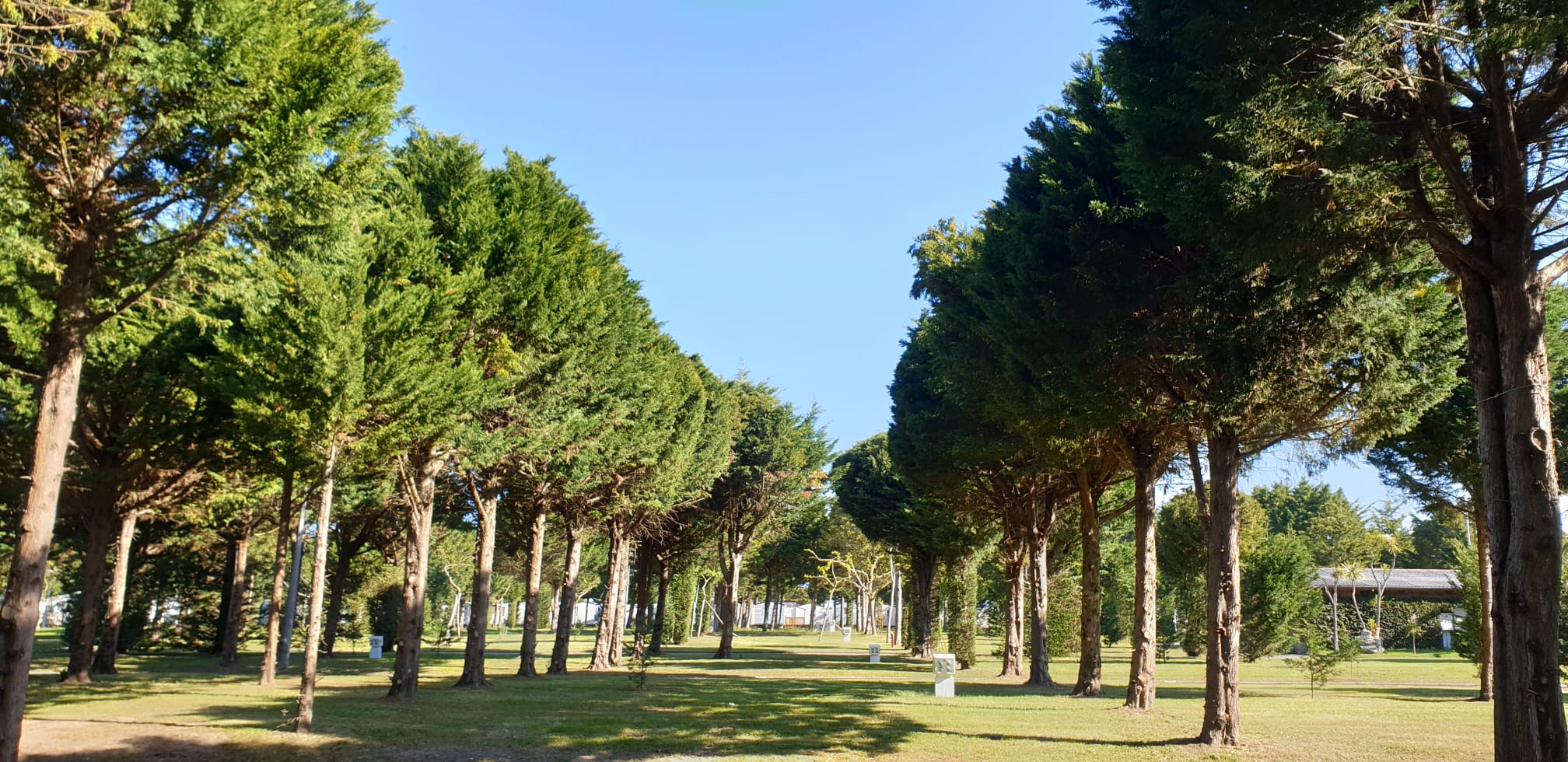 Parcela 027