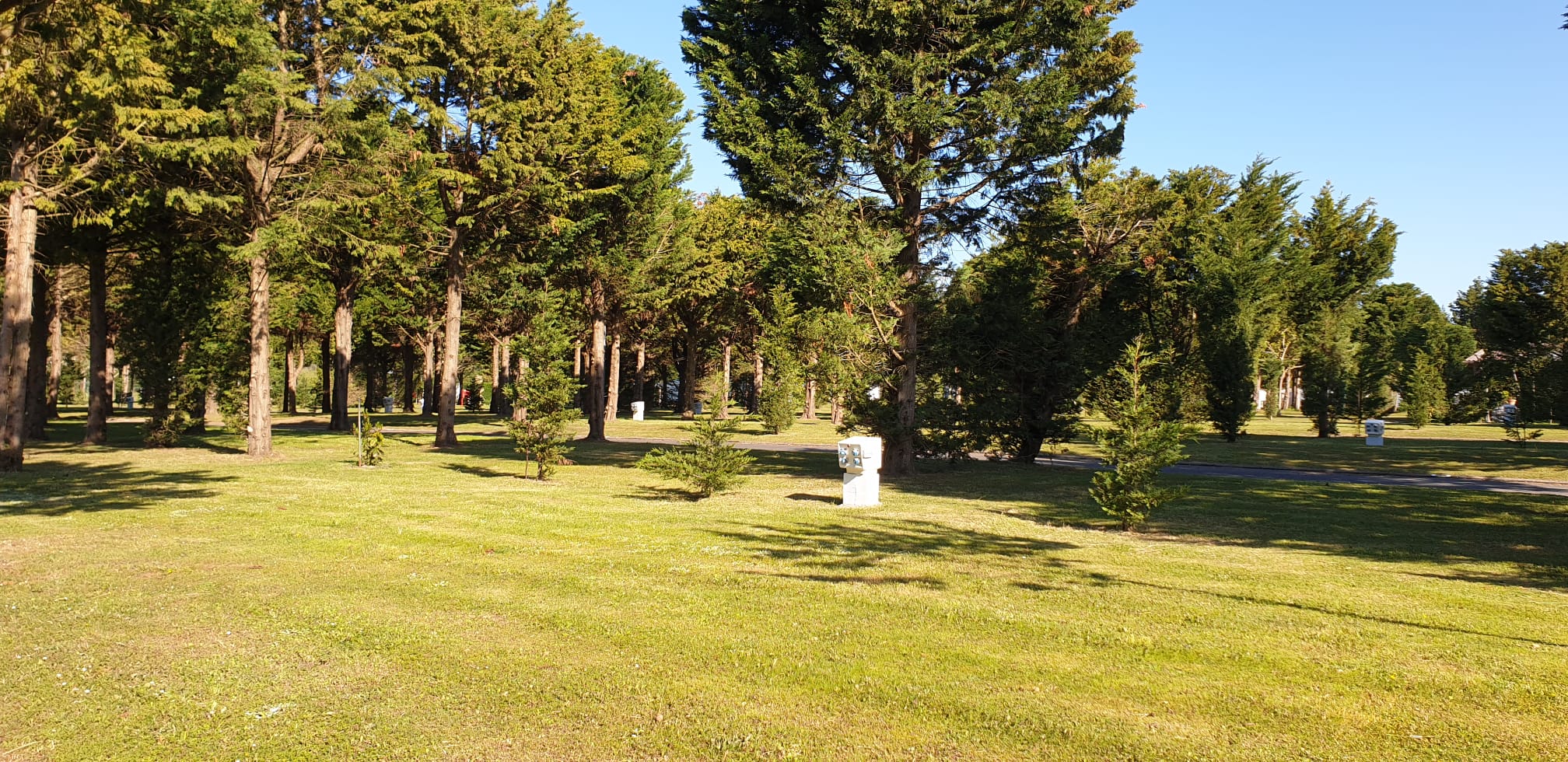 Parcela 029