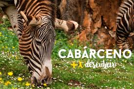 CABARCENO 02