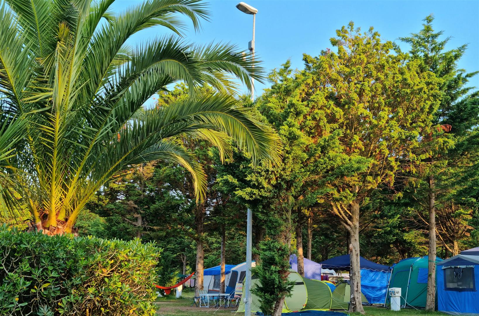 Camping Playa Joyel PARCELAS 3004