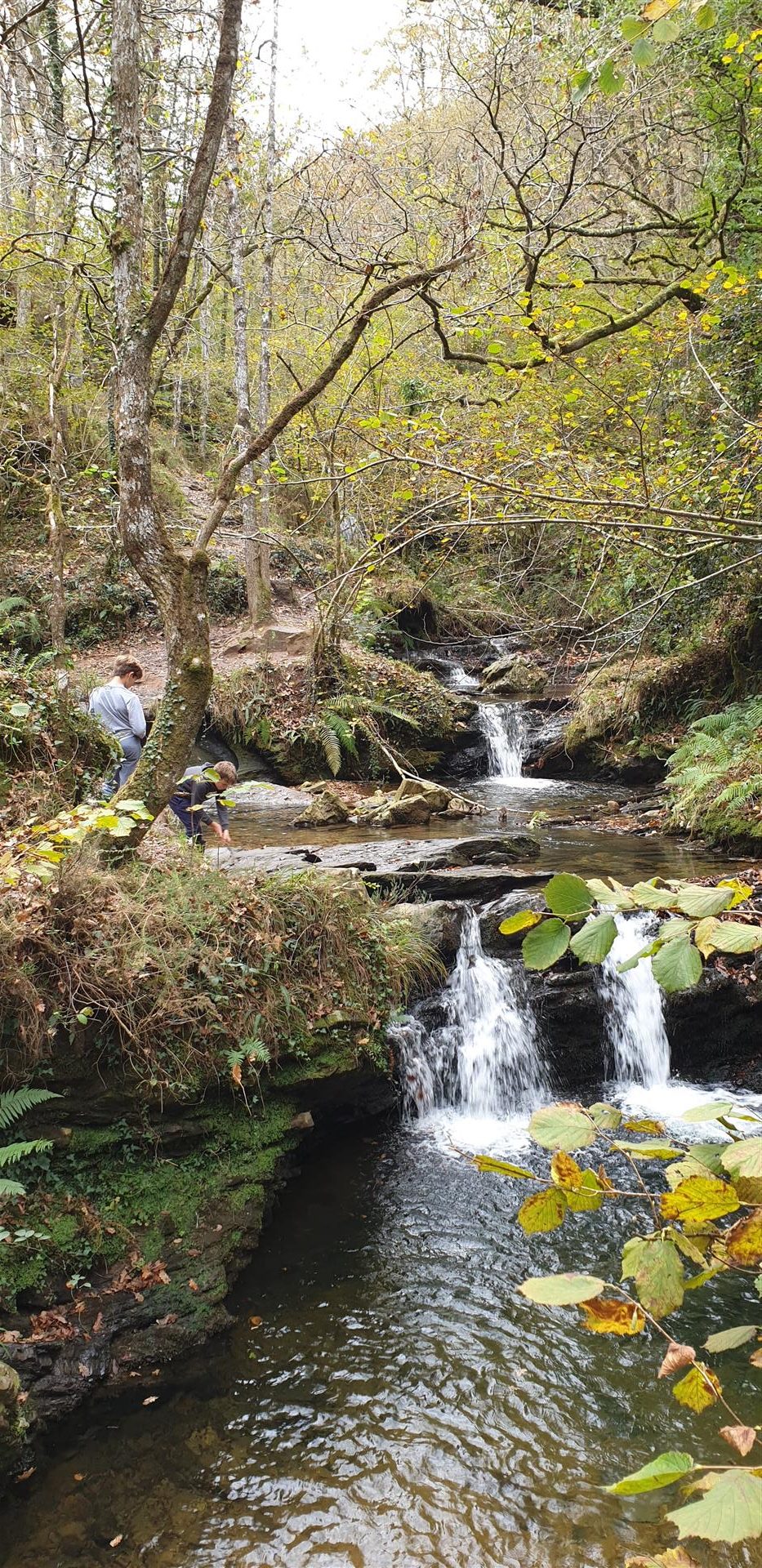 Cascadas Lamiña (Large)
