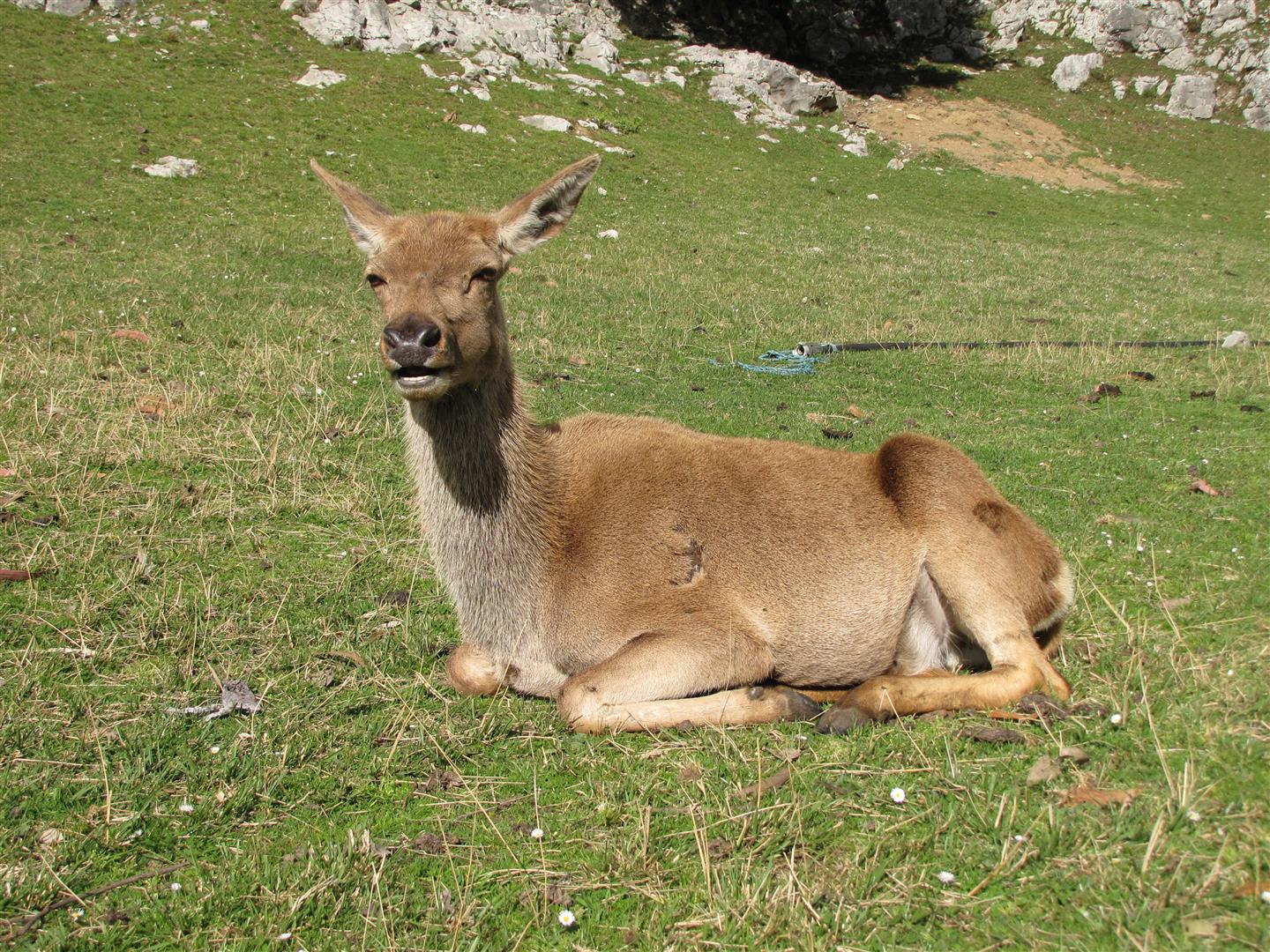 Parque 018