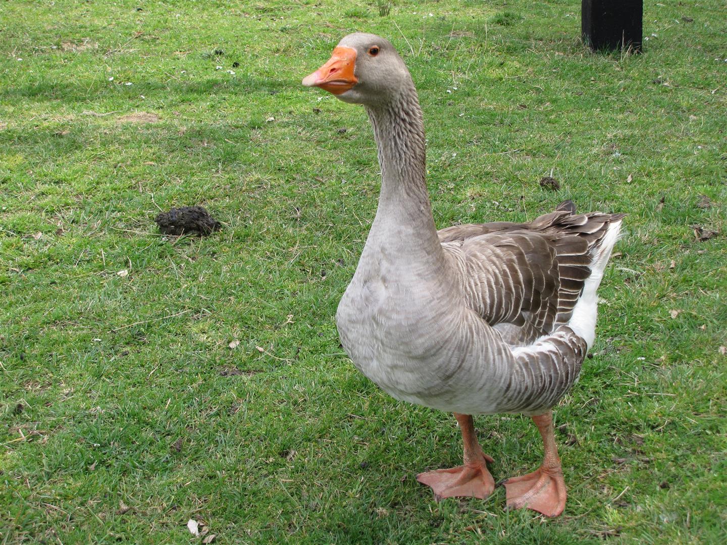 Parque 012