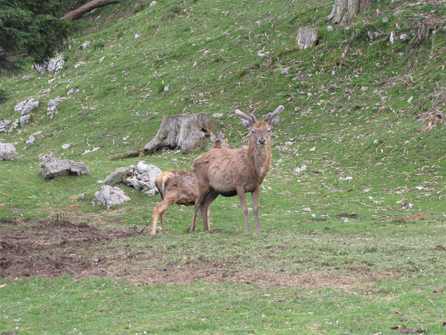 Parque 027