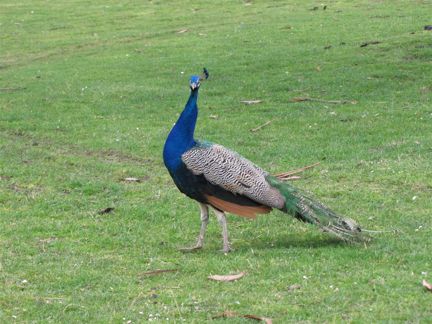 Parque 016